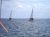 Beleive it or not, Puff is leading Island Girl.