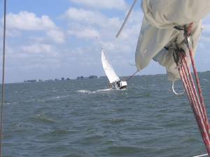 IMG_0505.JPG (50287 bytes)